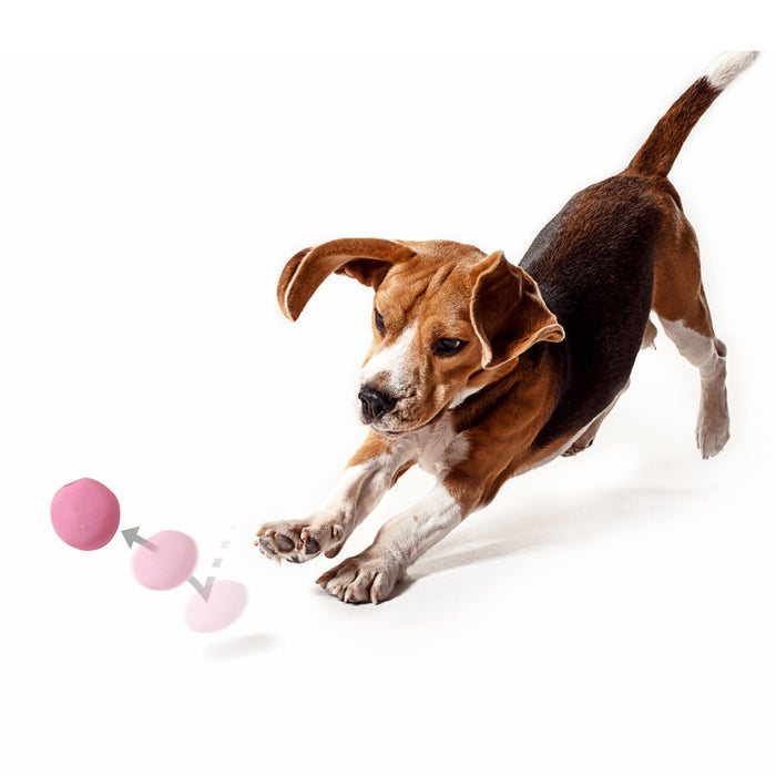 Nylabone Power Play Gum-a-Ball toy for Dogs 1ea/2 ct