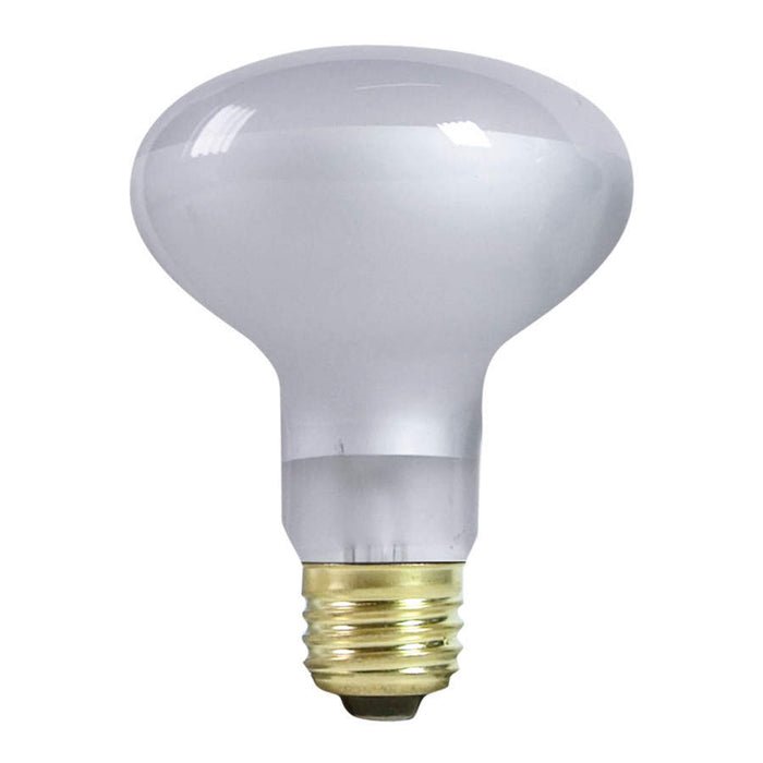 Zilla Incandescent Spot Bulbs Day White, 1ea/50 W