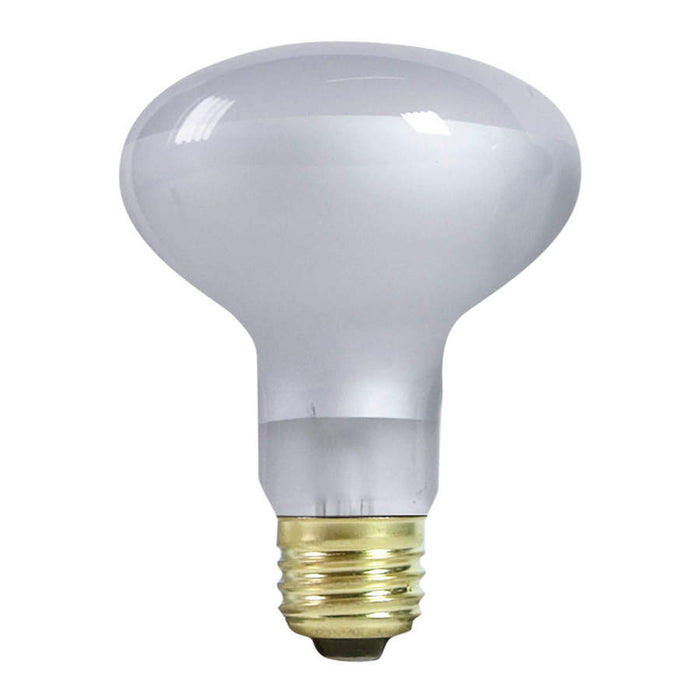 Zilla Incandescent Spot Bulbs Day White, 1ea/100 W