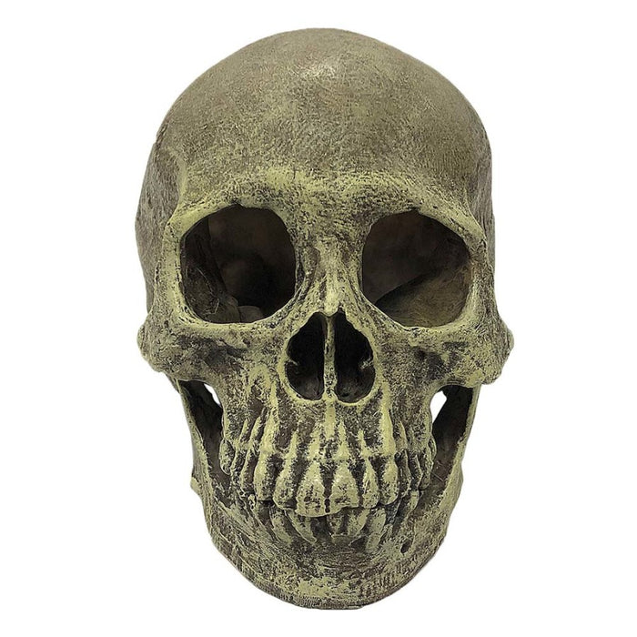 Komodo Full Human Skull Reptile Hideout Gray, 1ea/One Size