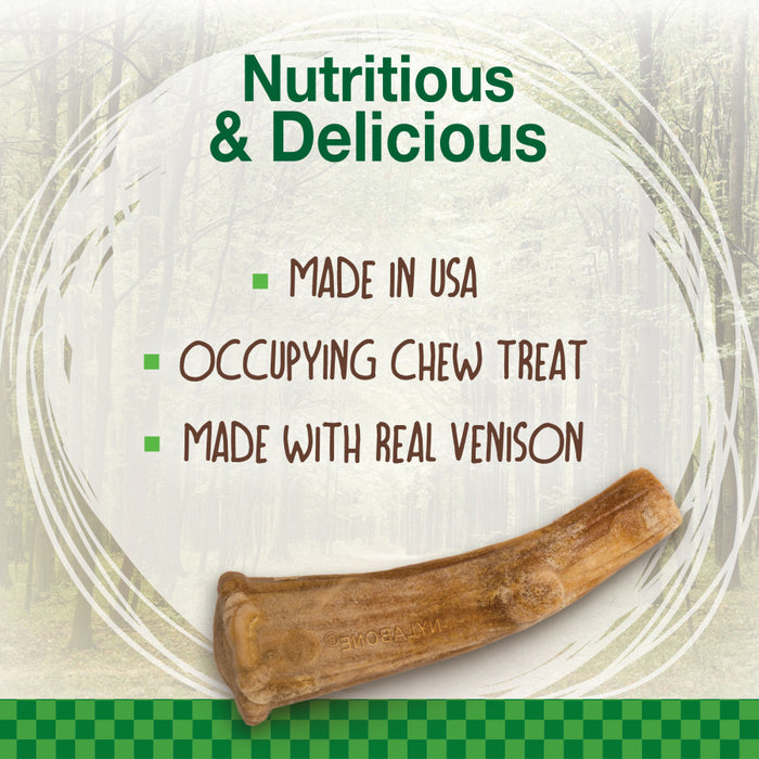 Nylabone Healthy Edibles WILD Antler Natural Long Lasting Venison Flavor Dog Chew Treats 1ea/Medium - Up To 30 lb, 10 ct