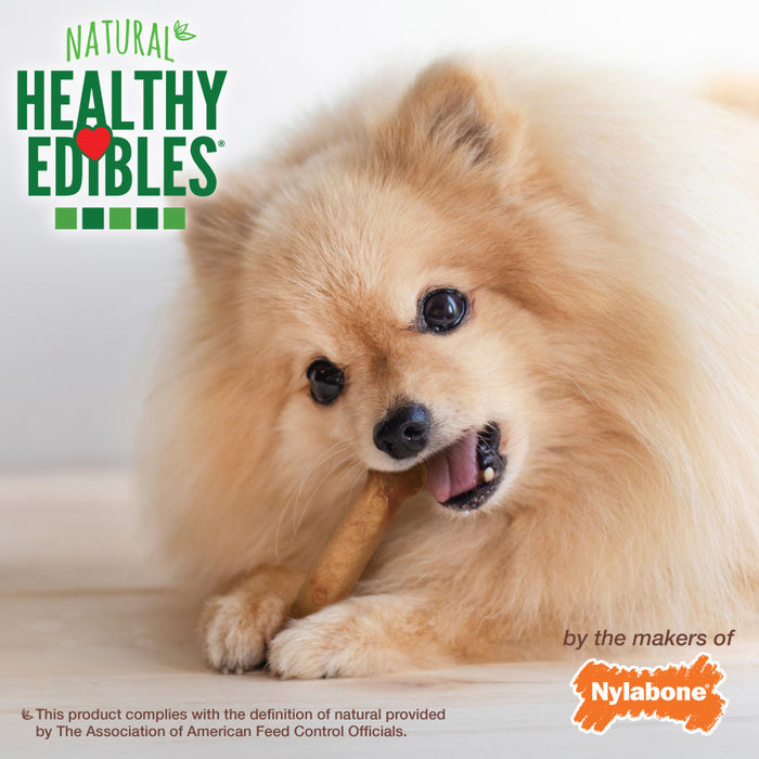 Nylabone Healthy Edibles All-Natural Long Lasting Roast Beef Flavor Chew Treats 1ea/XS - Up To 15 lb, 2 ct