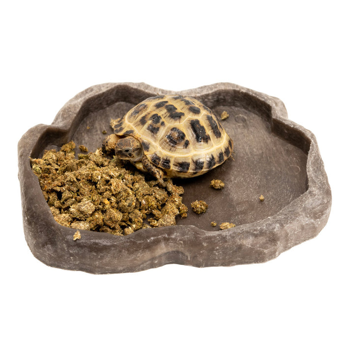 Zoo Med Grassland Tortoise Food Crumbles 1ea/8 oz