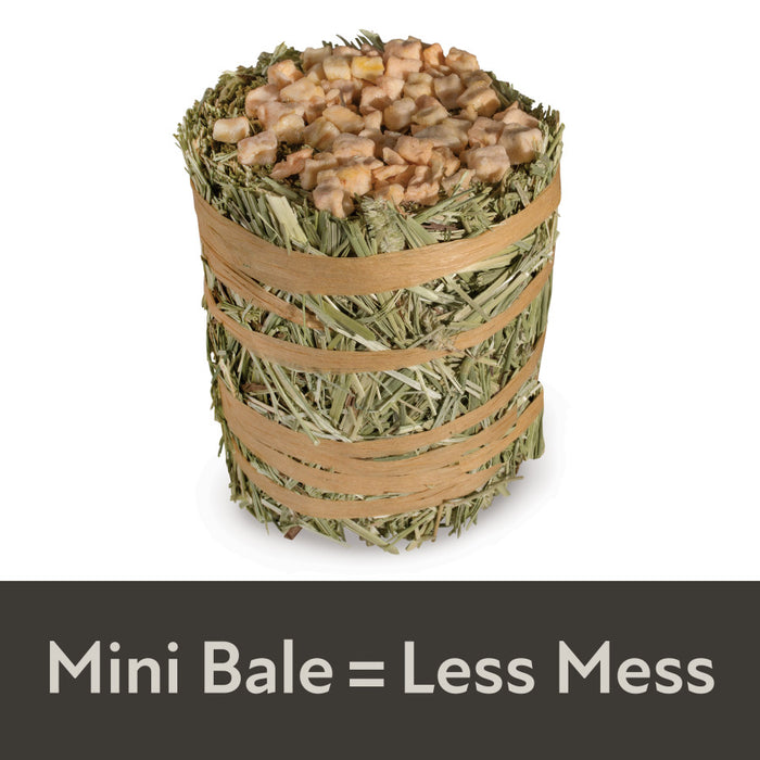 Kaytee Field+Forest Mini Hay Bales Apple 1ea/3.5 oz