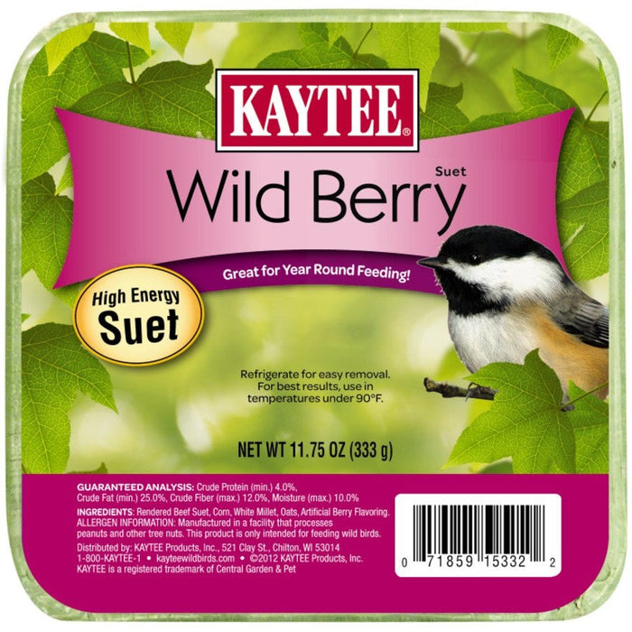 Kaytee Wild Berry High Energy Mini Suet 1ea/11.75 oz