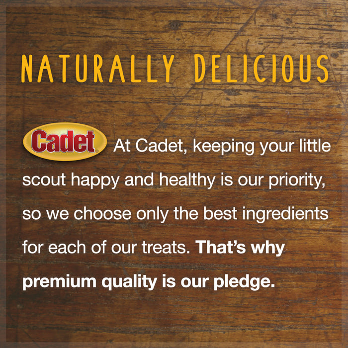 Cadet Beef Sticks for Dogs Beef, 1ea/12 oz