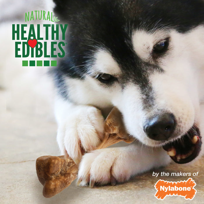 Nylabone Healthy Edibles Broth Bone All Natural Dog Treats Made With Real Bone Broth 16 count, 1ea/Regular - Up To 25 Ibs.