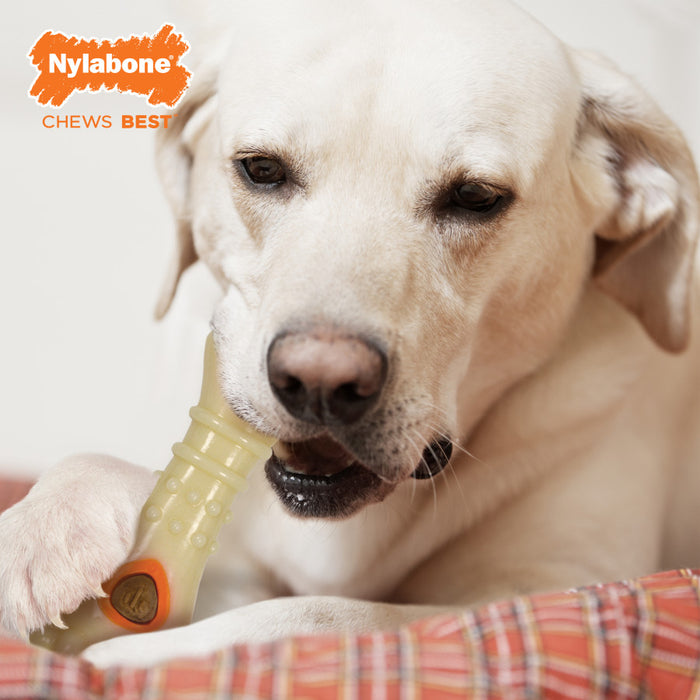 Nylabone All-Natural Pop-In Dog Treat Refills Pop-In, 1ea/30 pk