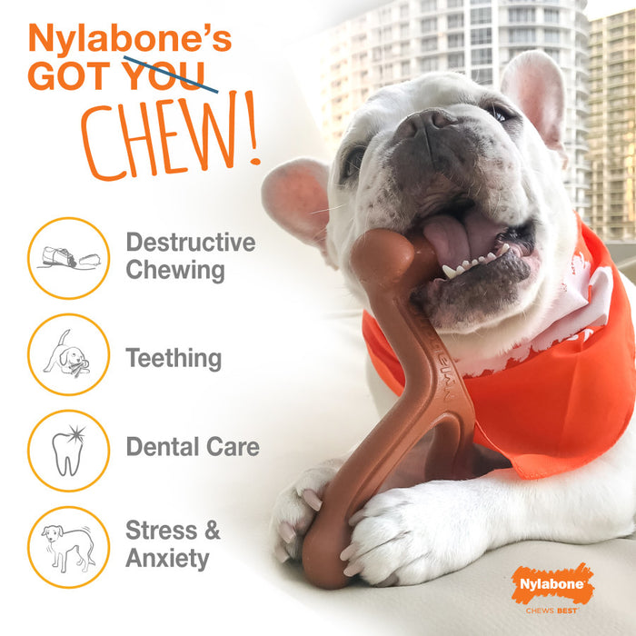 Nylabone Antler Alternative Power Chew Dog Toy 1ea/Medium - Up To 35 lb