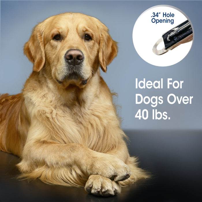 Four Paws Magic Coat Professional Series Nail Trimmer for Dogs Nail Trimmer, 1ea/Large