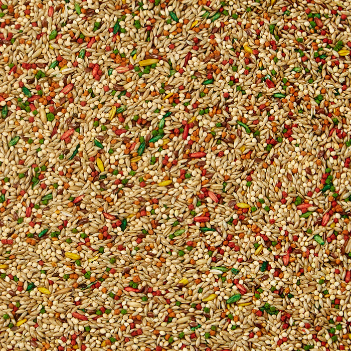 Kaytee Parakeet pet bird food 1ea/2 lb
