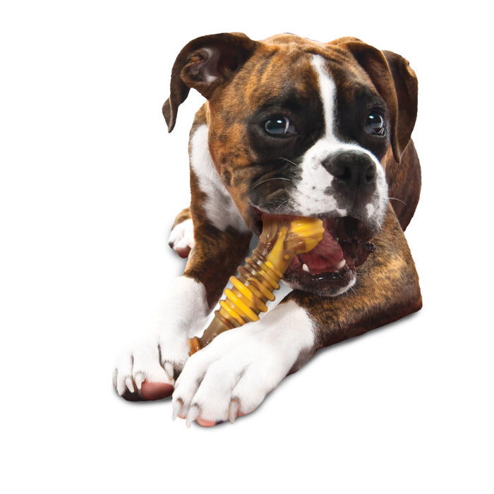 Nylabone Flavor Frenzy Power Chew Dog Toy Philly Cheesesteak, 1ea/XL - 50+ lb