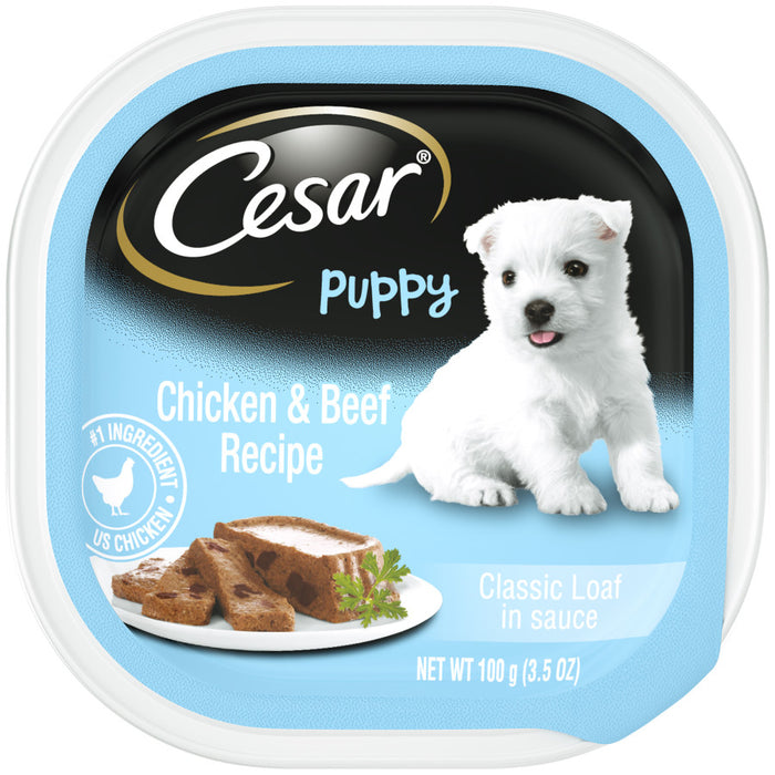 Cesar Classic Loaf in Sauce Puppy Wet Dog Food Chicken & Beef, 24ea/3.5 oz, 24 pk