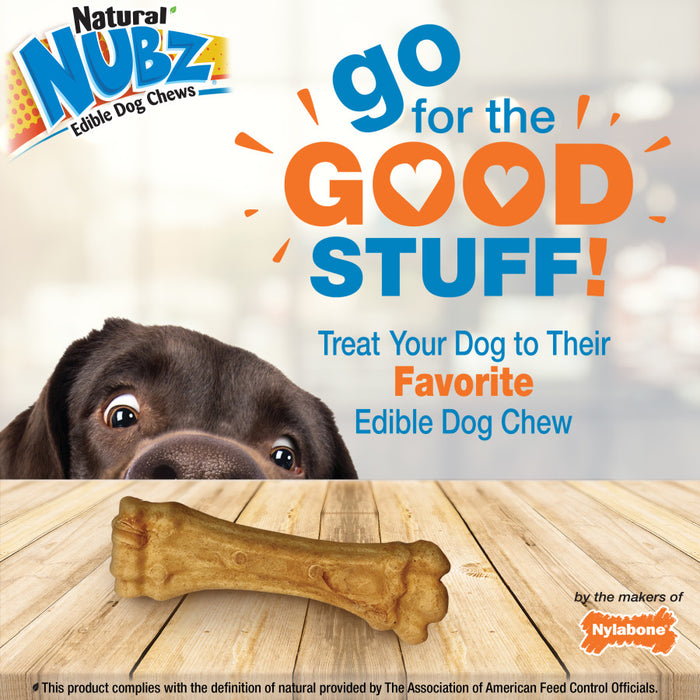 Nylabone Nubz Natural Dog Treats – Allergen-Free Peanut Butter Flavor 1ea/Large - Up To 50 lb, 2 ct