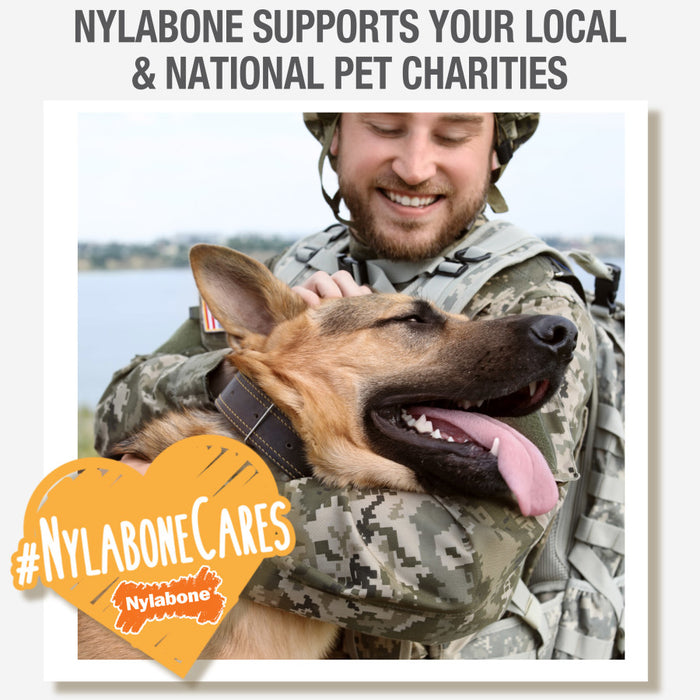 Nylabone Healthy Edibles All-Natural Long Lasting Roast Beef Flavor Chew Treats 1ea/XS - Up To 15 lb, 2 ct