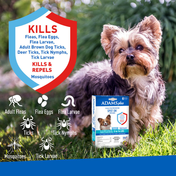 Adams Plus Flea & Tick Prevention Spot On for Dogs 3 month supply, Clear, 1ea/SMall Dog 5 To 14 lb