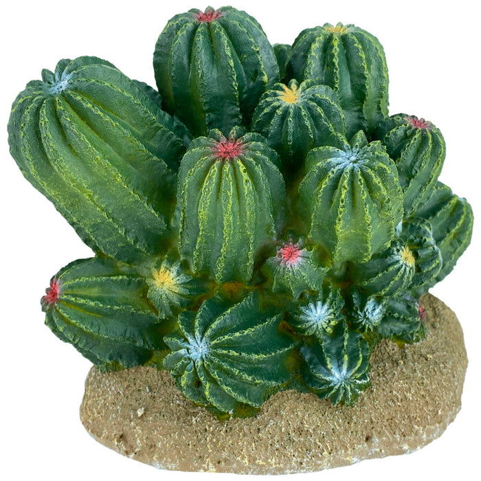 Komodo Cactus Plant Barrel 1ea/4 in