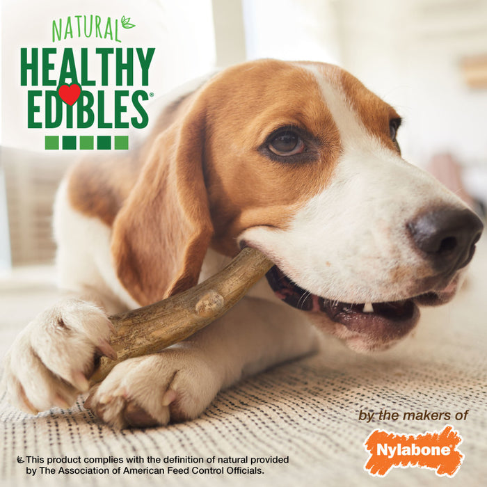 Nylabone Healthy Edibles WILD Antler Natural Long Lasting Venison Flavor Dog Chew Treats 1ea/Medium - Up To 30 lb, 10 ct