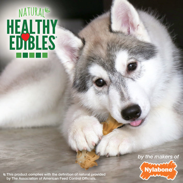 Nylabone Healthy Edibles All-Natural Puppy Chew Treats for Large Breed Puppies 1ea/Medium - Up To 30 lb, 2 ct