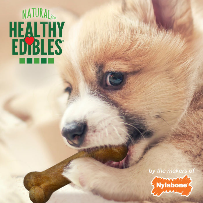 Nylabone Healthy Edibles Puppy Chew Treats 3 count, 1ea/SMall/Regular - Up To 25 lb