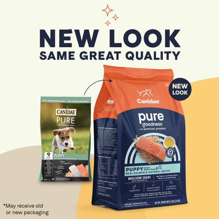 CANIDAE PURE Goodness w/Wholesome Grains Dry Puppy Food Salmon & Oatmeal, 1ea/4 lb