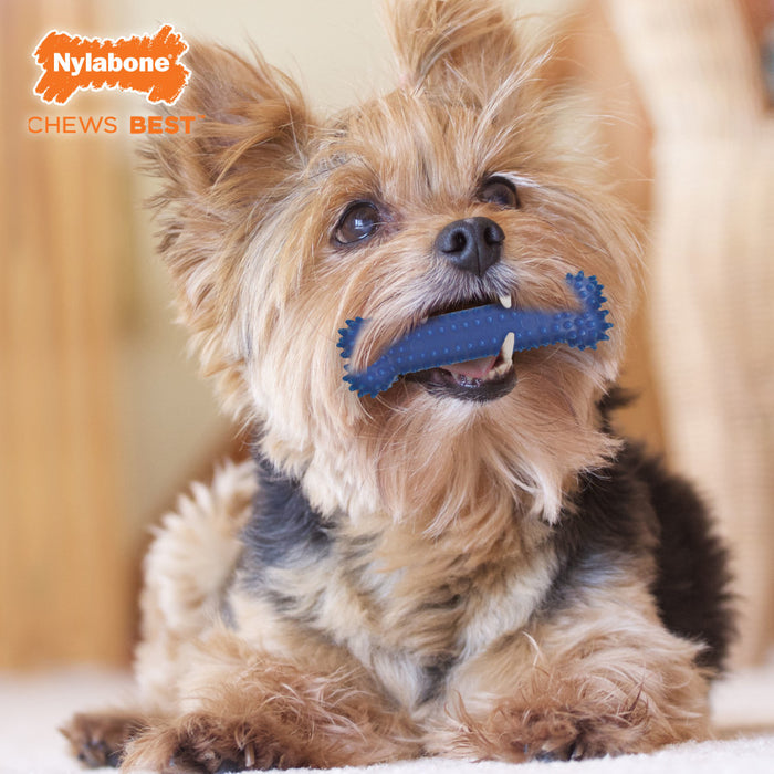 Nylabone Moderate Chew FlexiChew Dental Chew Toy 1ea/SMall - Up To 25 lb