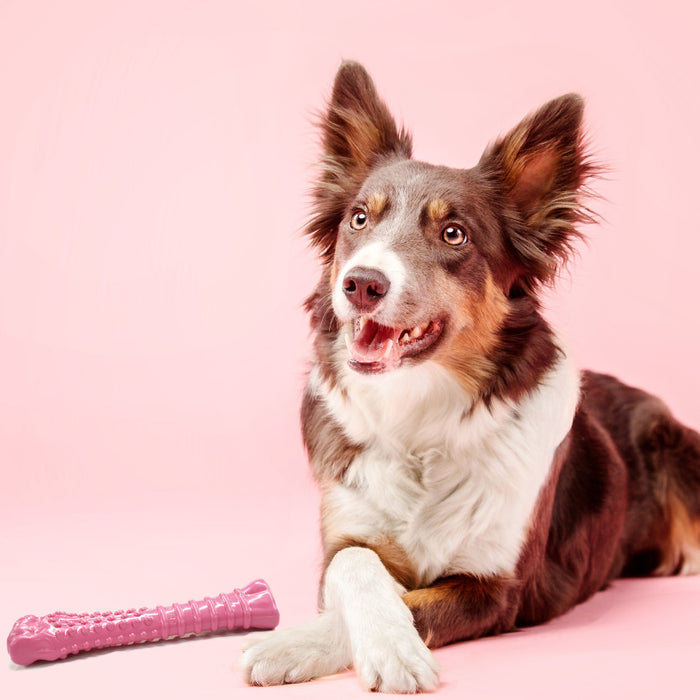 Nylabone Breast Cancer Awareness Pink Power Chew Textured Dog Toy 1ea/XL - 50+ lb