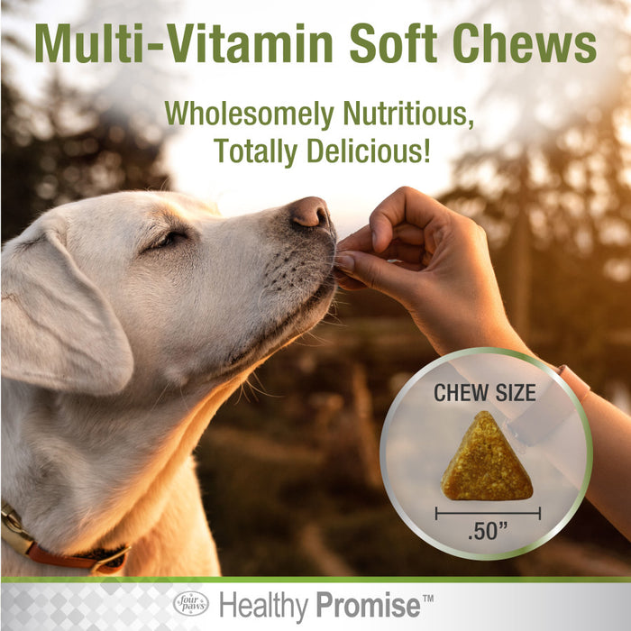 Four Paws Healthy Promise Dog Multivitamin Soft Chews Multivitamin, 1ea/120 ct