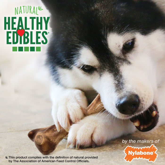 Nylabone Healthy Edibles WILD Natural Long Lasting Bison Flavor Dog Chew Treats 1ea/Large - Up To 50 lb