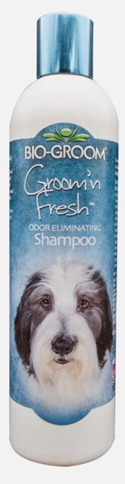 Bio Groom Groom 'N Fresh Shampoo 1ea/12 fl oz