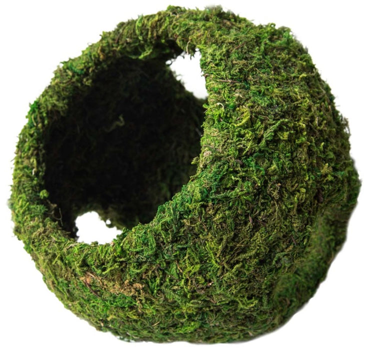 Galapagos Mossy Cave Terrarium Hideaway Fresh Green, 1ea/8 in