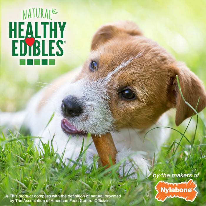 Nylabone Healthy Edibles All-Natural Long Lasting Chicken Flavor Dog Chew Treats 1ea/SMall - Up To 25 lb, 3 ct