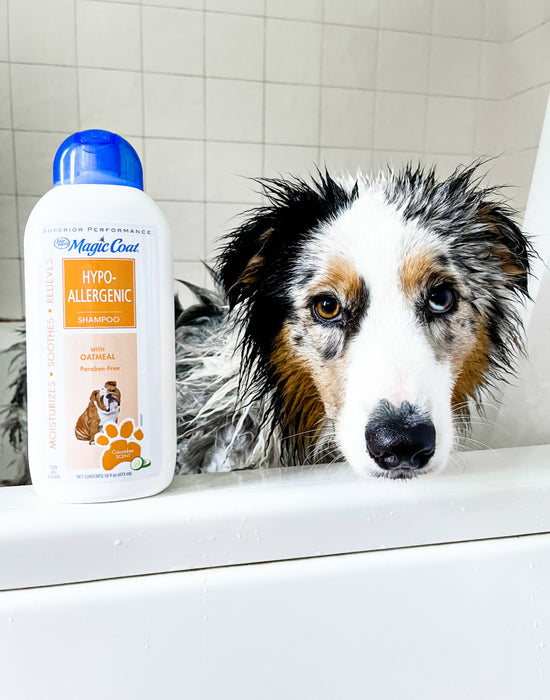 Four Paws Magic Coat Hypo-Allergenic Dog Shampoo Hypoallergenic Shampoo, 1ea/16 oz (1 ct)