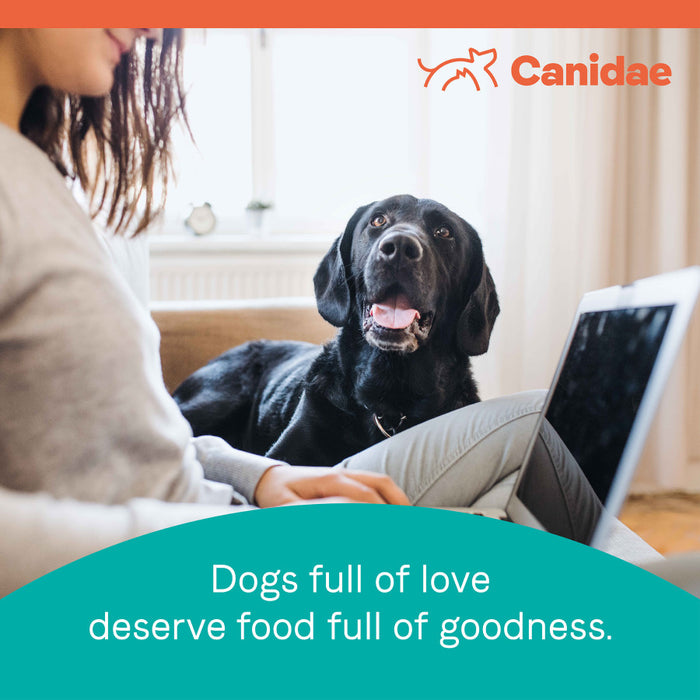 CANIDAE PURE Goodness Grain-Free LID Dry Dog Food Duck & Sweet Potato, 1ea/22 lb