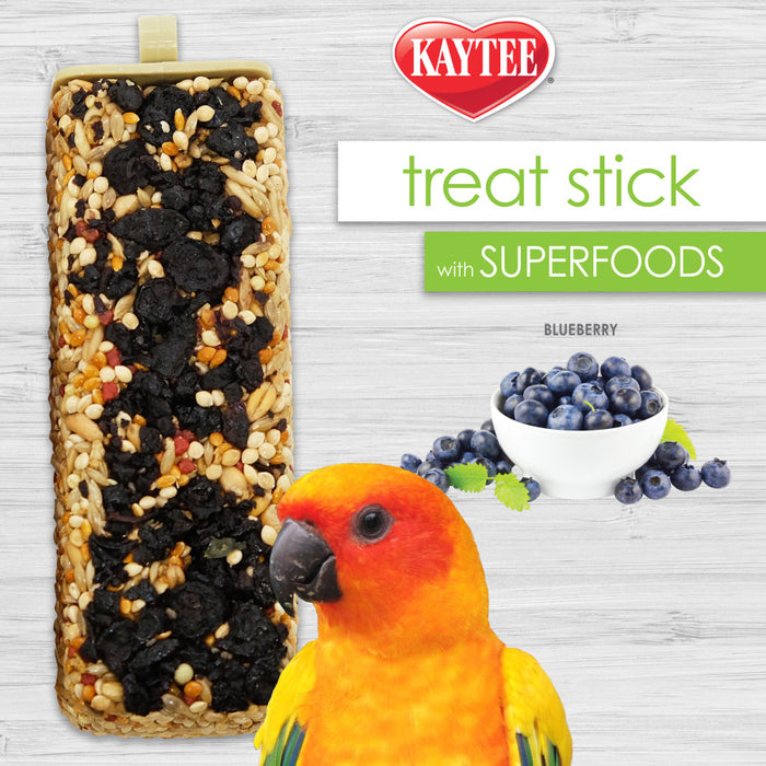 Kaytee Avian Superfood Treat Stick Blueberry 1ea/5.5 oz