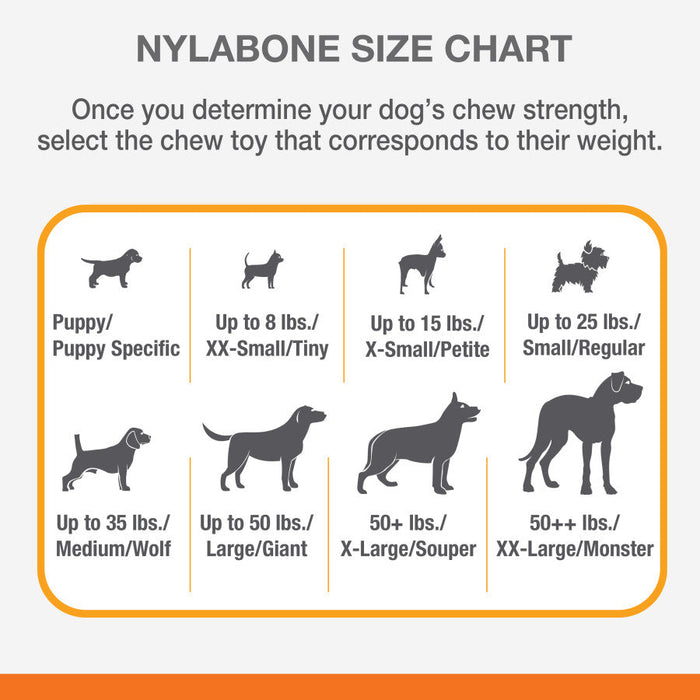 Nylabone Flex Moderate Chew Dog Toy 1ea/SMall - Up To 25 lb