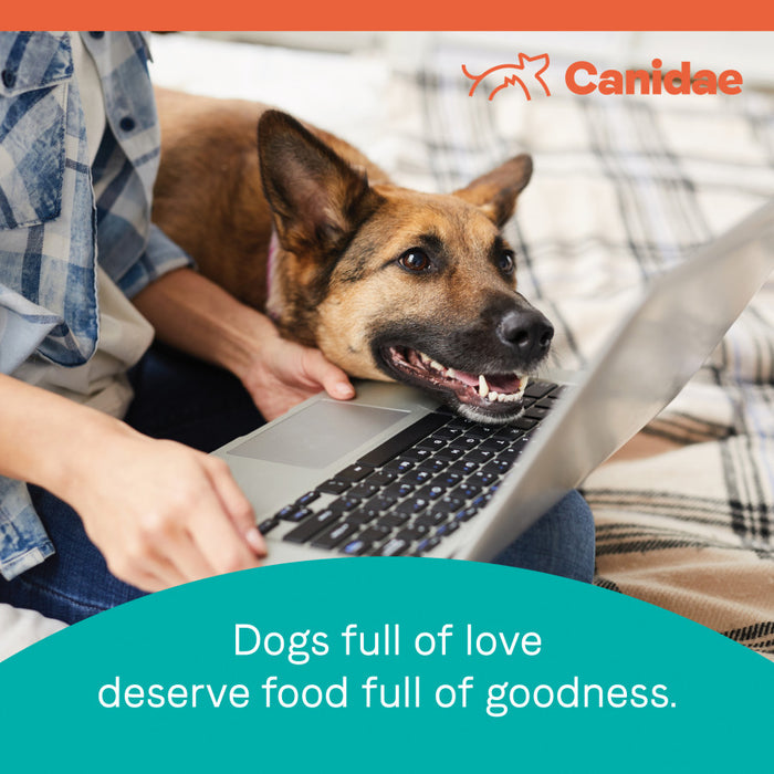 CANIDAE PURE Goodness Grain-Free LID Dry Dog Food Duck & Sweet Potato, 1ea/22 lb