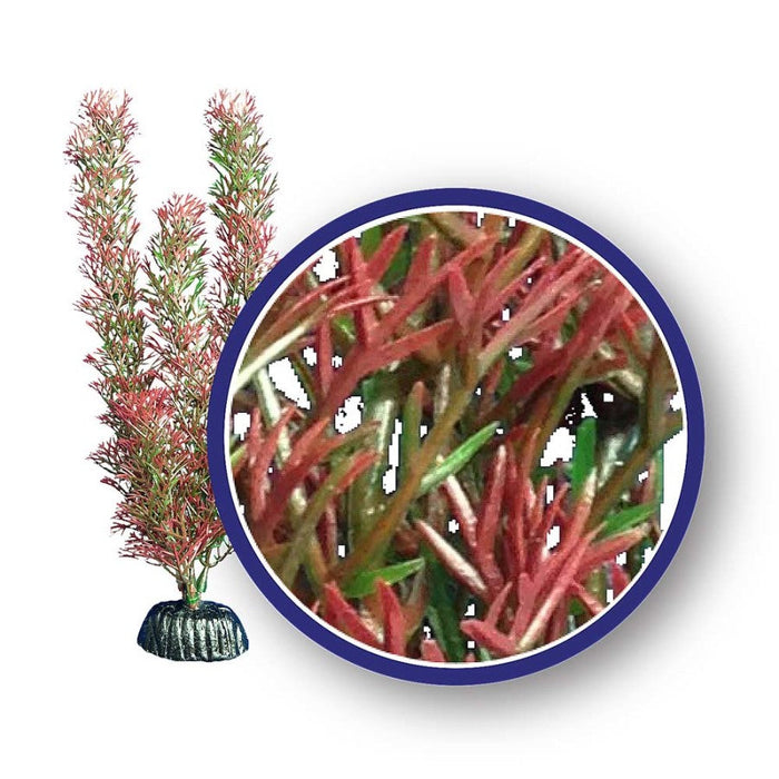 Weco Products Freshwater Series Foxtail Aquarium Plant Red, 1ea/6 in