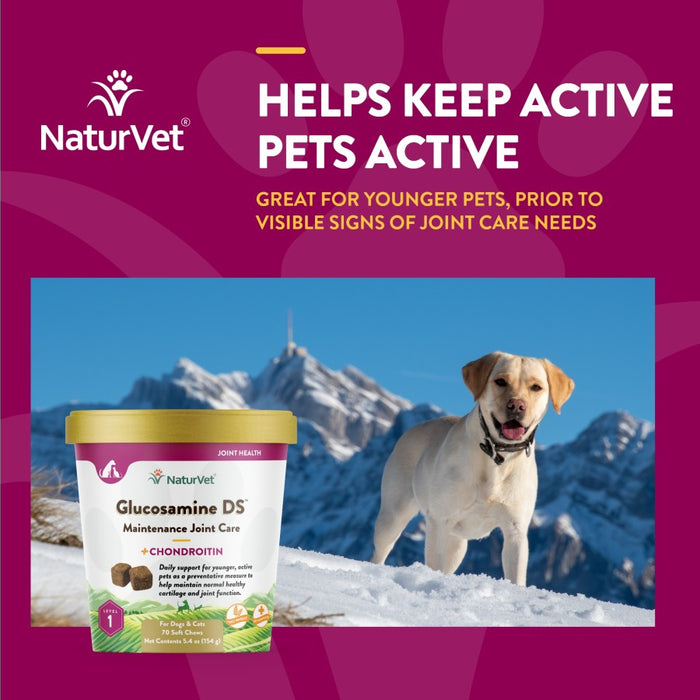 NaturVet Glucosamine-DS Level 1 Soft Chew 1ea/70 ct