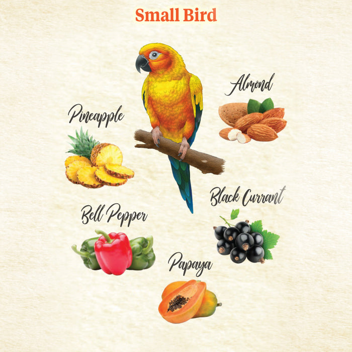 Kaytee Food From the Wild Natural Snack Small Pet Bird 1ea/3 oz