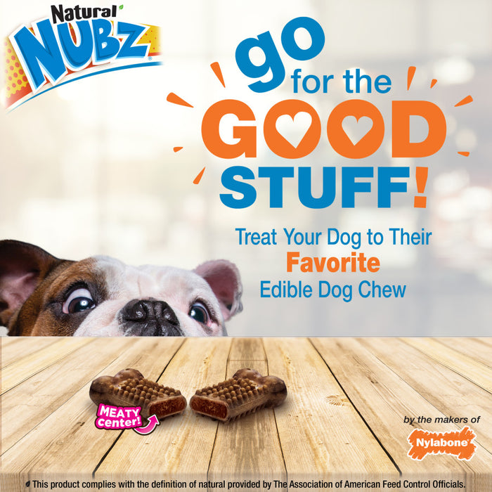 Nylabone Nubz Meaty Center Natural Long Lasting Edible Dog Chews 1ea/SMall - Up To 25 lb, 20 ct