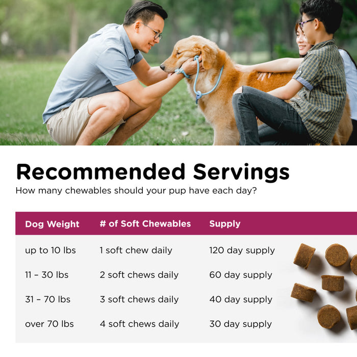 Nutri-Vet Pre and Probiotics Soft Chews for Dogs 1ea/120 ct