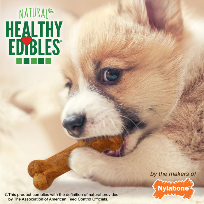 Nylabone Healthy Edibles Puppy Chew Treats Turkey & Sweet Potato, 1ea/XS - Up To 15 lb, 16 ct