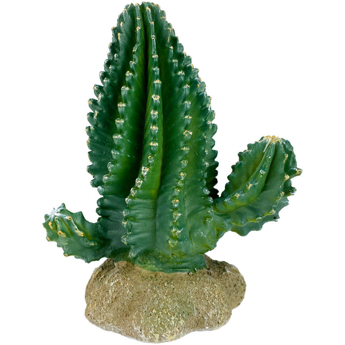 Komodo Cactus Plant Columnar 1ea/5.9 in