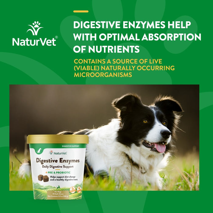 NaturVet Digestive Enzymes Plus Pre & Probiotic Soft Chew 1ea/70 ct