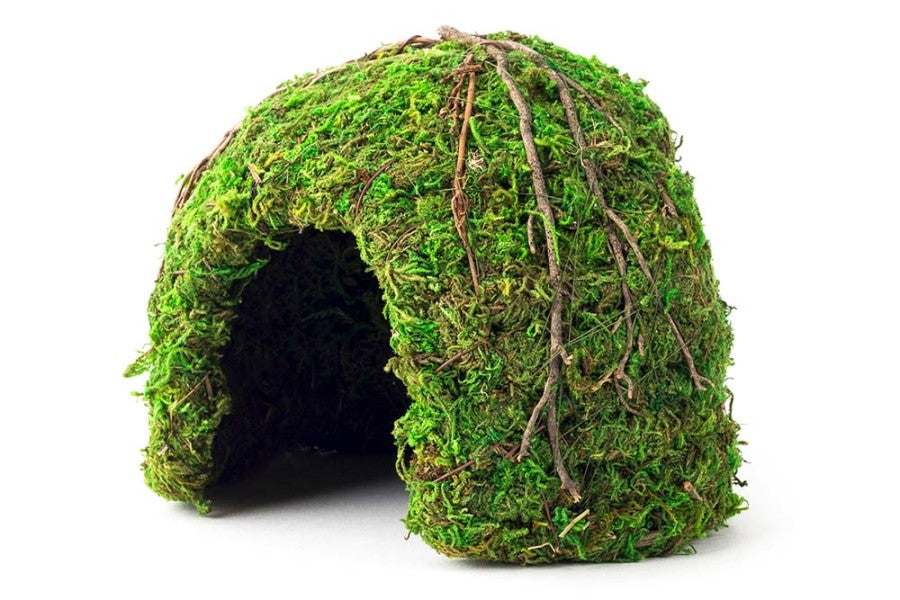 Galapagos Mossy Dome Terrarium Hideaway Fresh Green, 1ea/6 in