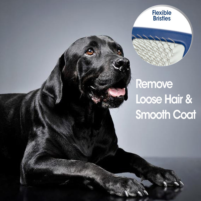 Four Paws Magic Coat Professional Series Slicker Brush for Dogs Slicker Brush, 1ea/SMall