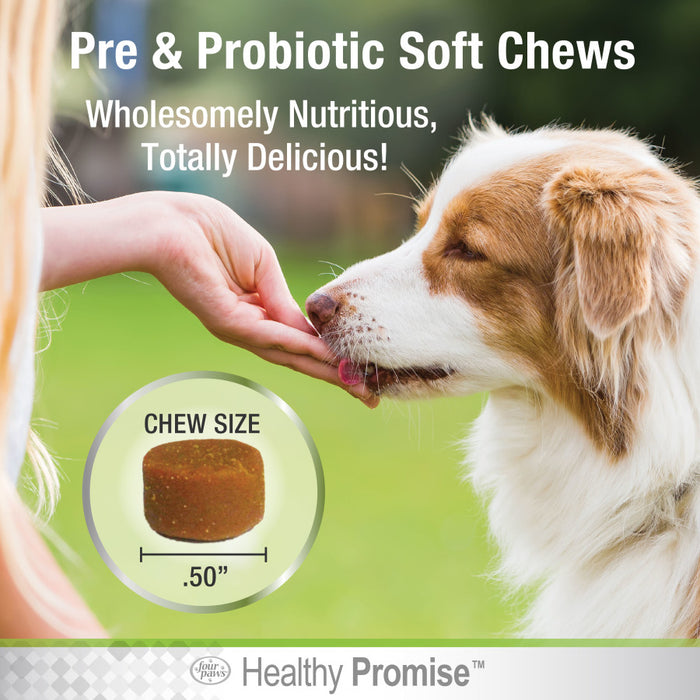 Four Paws Healthy Promise Pre and Probiotics for Dogs Soft Chews Pre and Probiotic, 1ea/90 ct