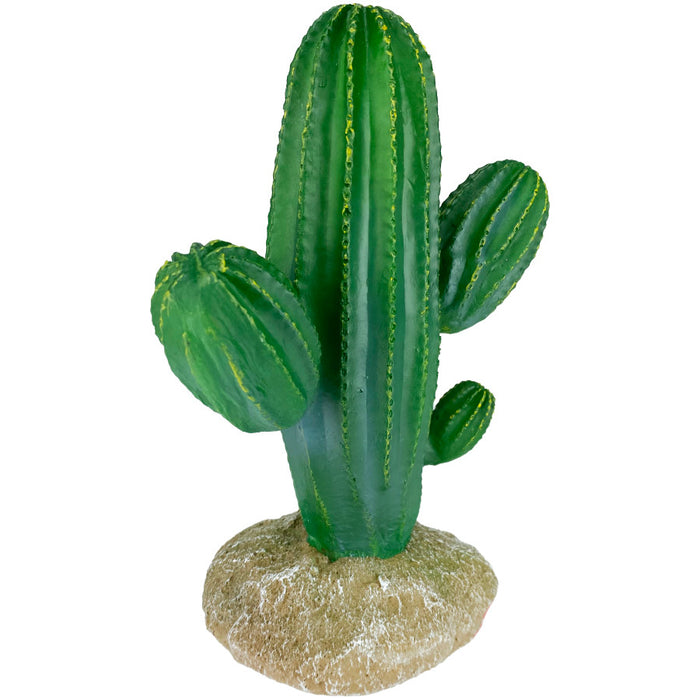 Komodo Cactus Plant Saguaro 1ea/9.5 in