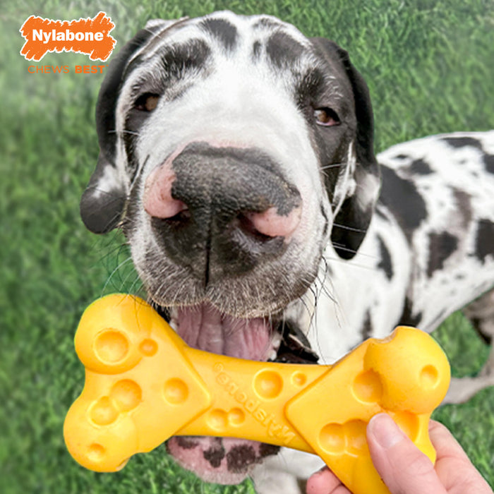 Nylabone Power Chew Cheese Dog Toy 1ea/XL - 50+ lb